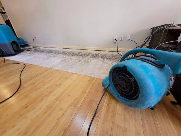 Professional Basement Flood Cleanup technician working in Hebron, ME